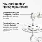 Marine Hyaluronics