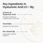 Hyaluronic Acid 2% + B5 Hydrating Serum with Ceramides
