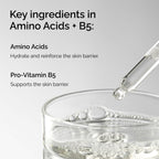 Amino Acids + B5